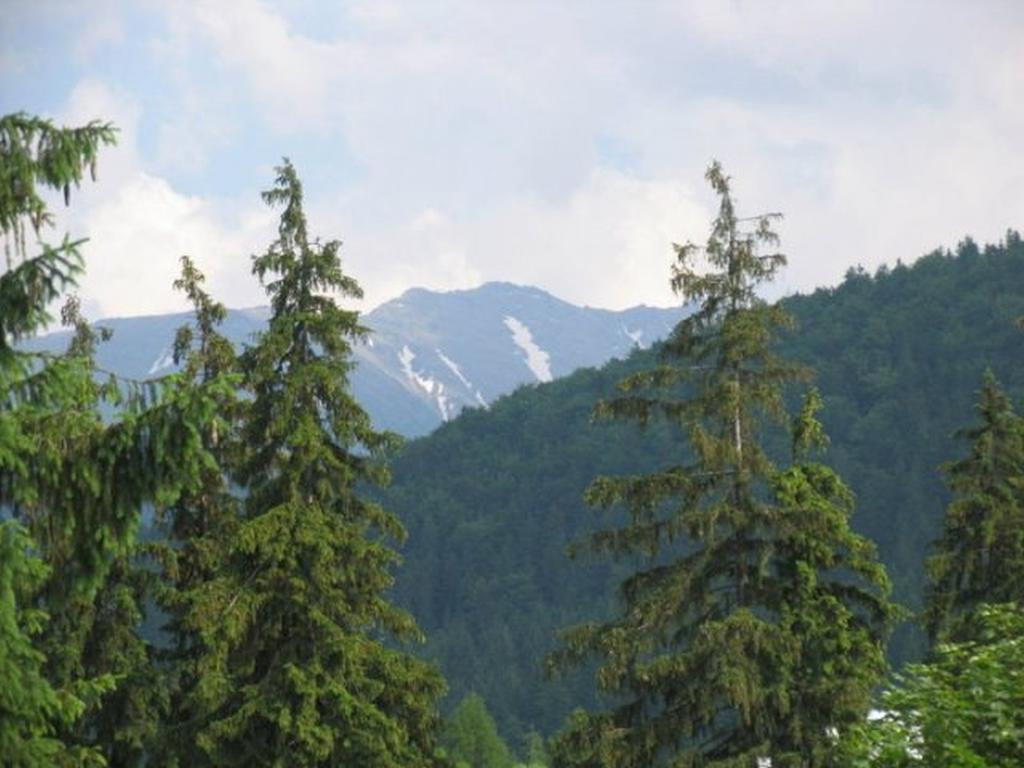 Willa Lesna Zakopane Exteriér fotografie